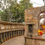 Chausath Yogini temple mahotsav tantra festival