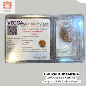 2 mukhi rudraksha