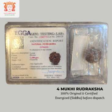 4 mukhi rudraksha
