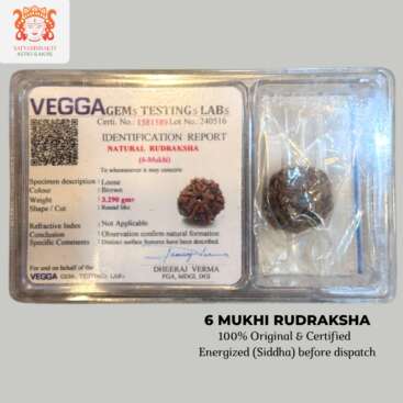 6 mukhi rudraksha